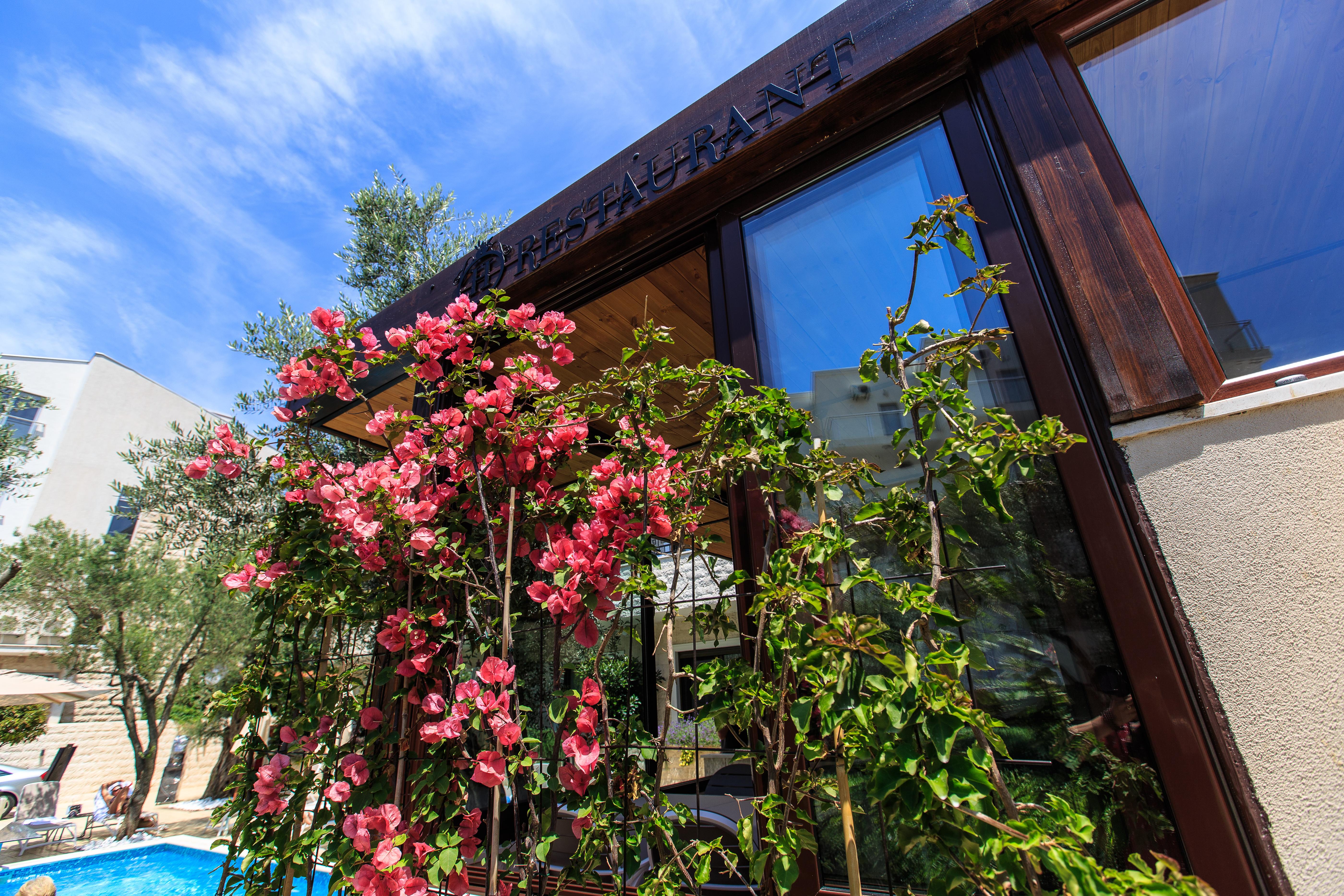 Hotel Harmony By Aycon Petrovac ภายนอก รูปภาพ